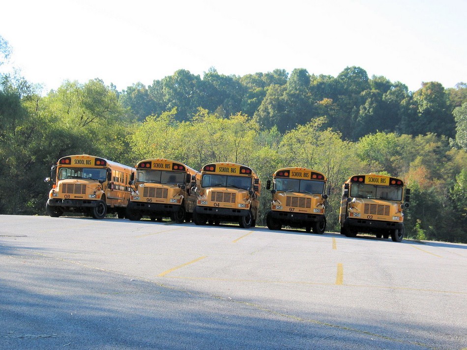 1119 LCHS buses, 2006